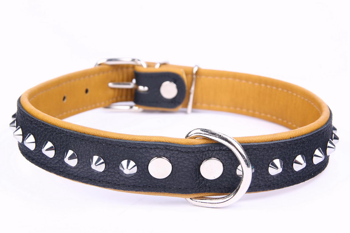 Ошейник для питомца